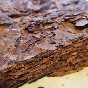 берли листовой2