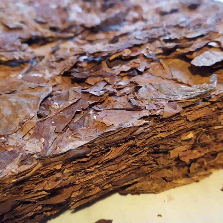 берли листовой2 берли листовой2